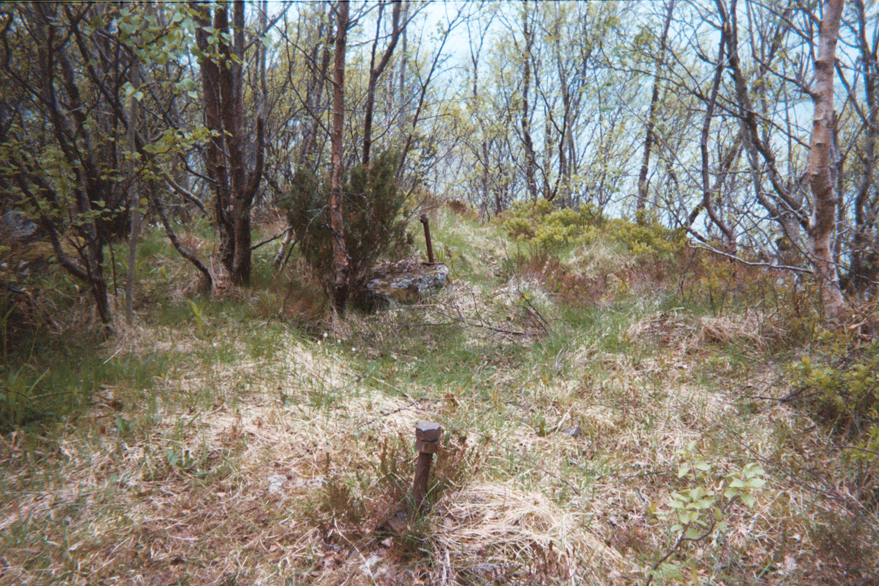 Flak gun remains, Aksla