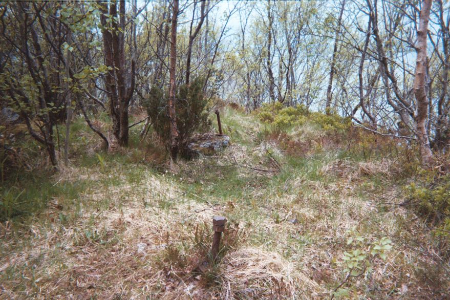 Flak gun remains, Aksla