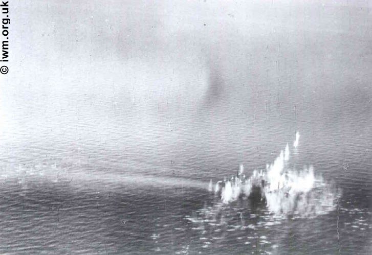 Mosquitos attack enemy convoys.