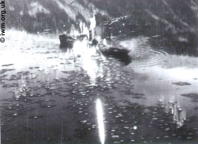 Mosquitos attack enemy shipping.